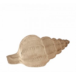 Επιτραπέζιο φωτιστικό κοχύλι, 43x19.7cm