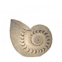 Επιτραπέζιο φωτιστικό κοχύλι "Ναυτίλος" 