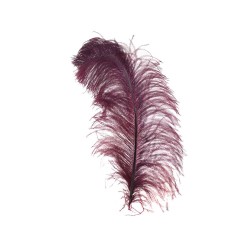 Inart Decorative  feather 3-70-355-0031