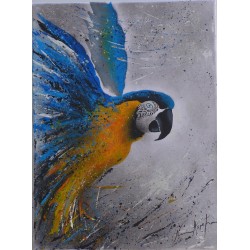 Macaw blue
