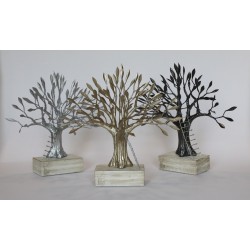 Olive tree  in anthracite shade